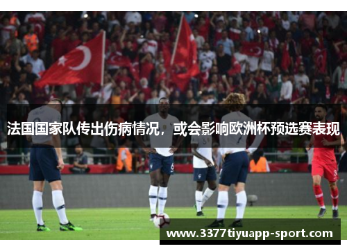 法国国家队传出伤病情况，或会影响欧洲杯预选赛表现